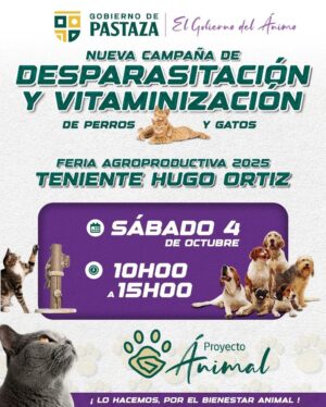 WhatsApp Image 2025-11-05 at 22.16.23