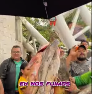 Captura de pantalla 2025-12-04 a la(s) 18.50.44