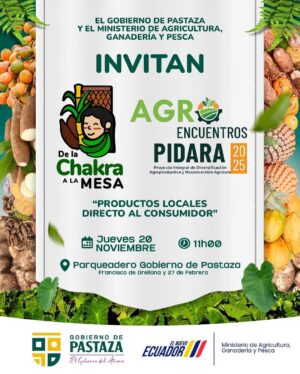 WhatsApp Image 2025-12-04 at 13.42.20