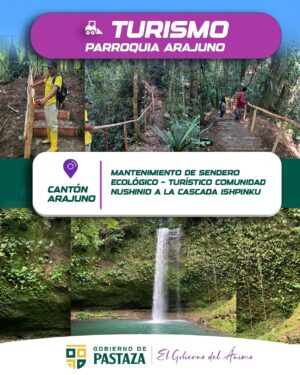 WhatsApp Image 2026-01-08 at 11.36.15