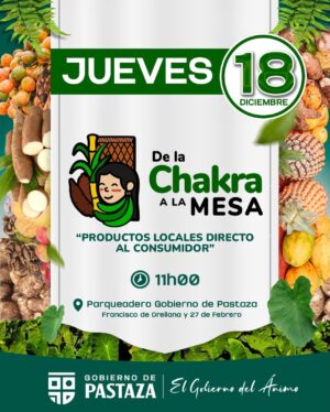 WhatsApp Image 2026-01-08 at 11.37.57